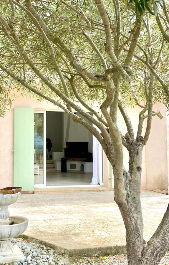 Villa Domaine Font Mourier Cogolin Exterior photo
